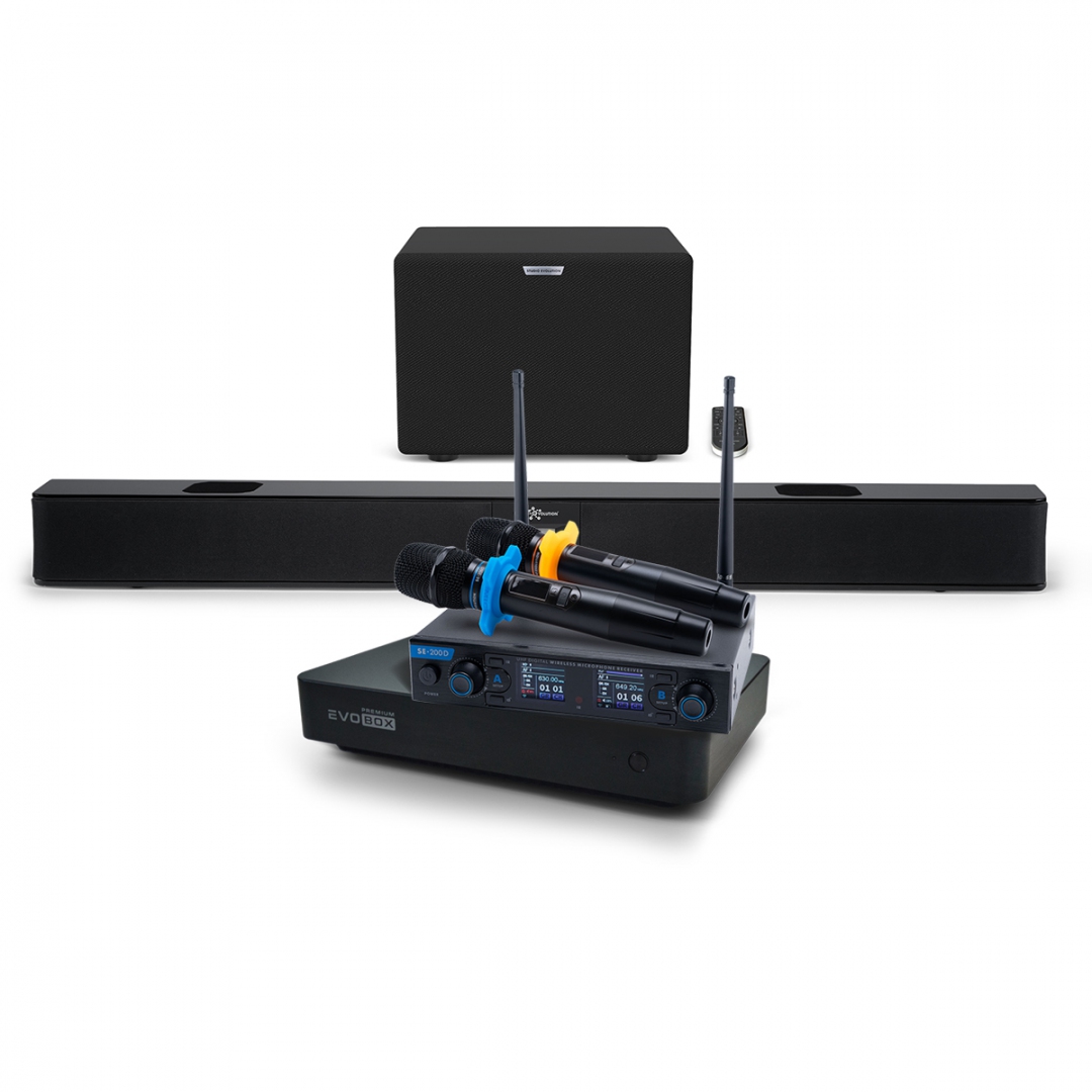 Hi-End караоке-система EVOBOX Premium + EvoSoundBar (саундбар с караоке) в Брянской области