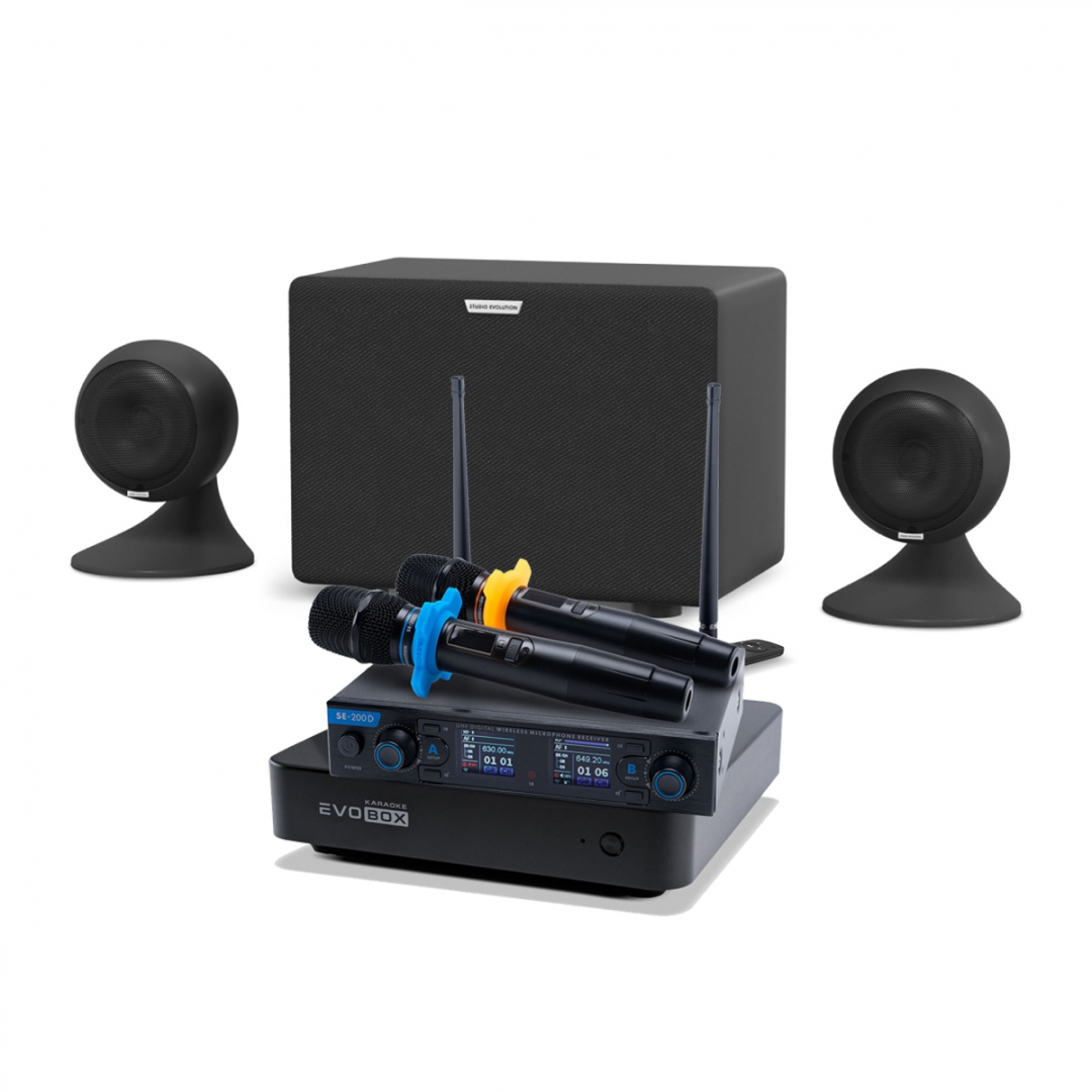 караоке-комплект EVOBOX + EvoSound Sphere 2.1 в Брянской области