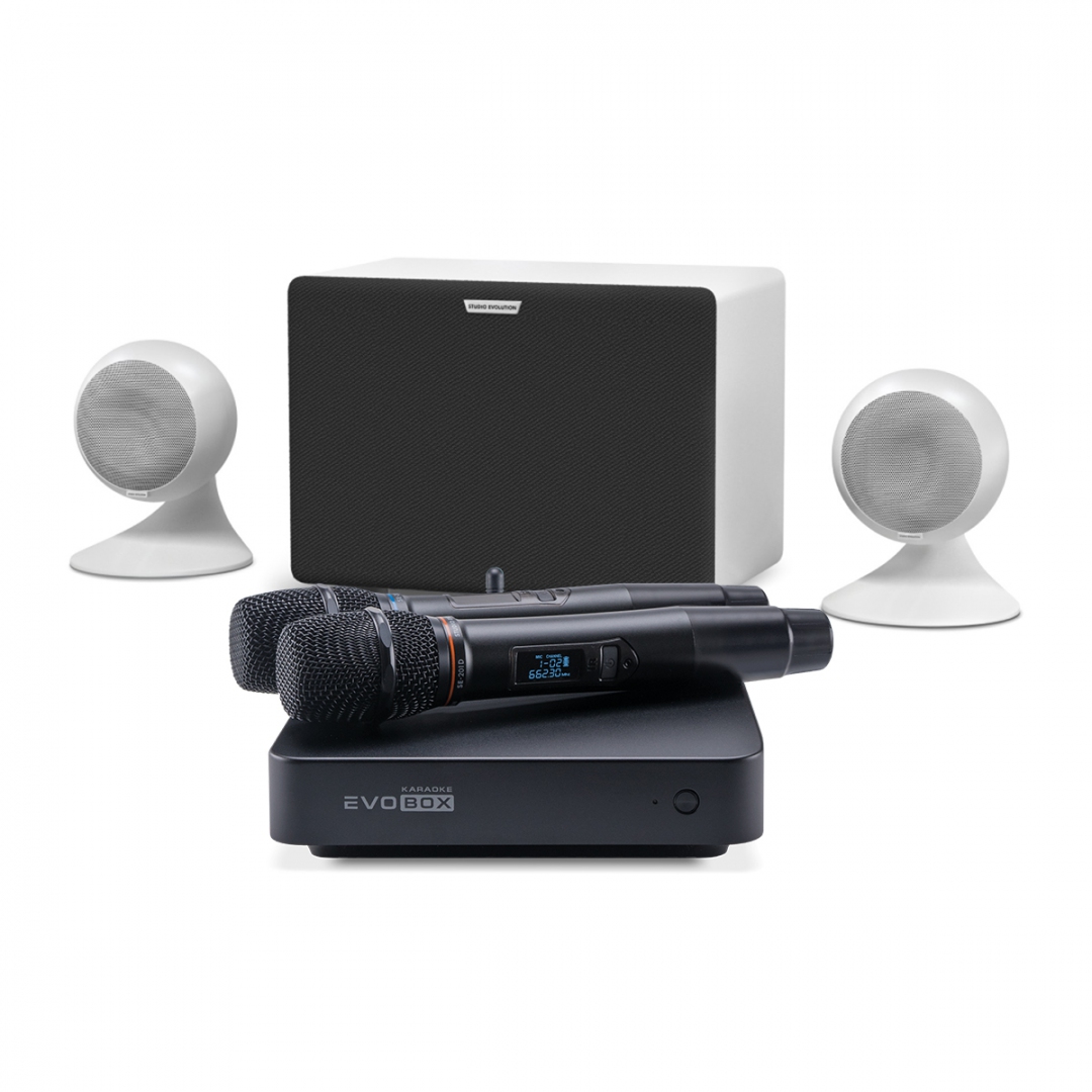 караоке-комплект EVOBOX Classic + EvoSound Sphere 2.1 в Брянской области