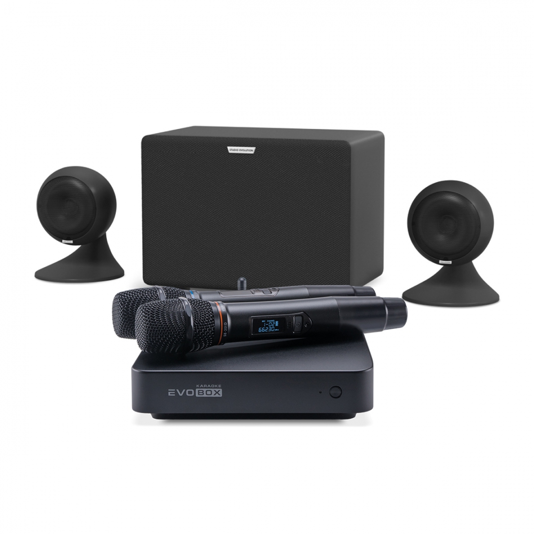 караоке-комплект EVOBOX Plus + EvoSound Sphere 2.1 в Брянской области