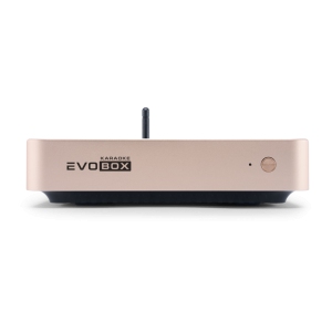 EVOBOX Classic караоке-система для дома в Брянской области
