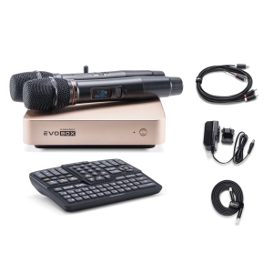 EVOBOX Classic караоке-система для дома в Брянской области