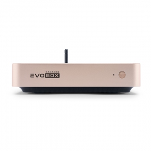 EVOBOX Plus караоке-система для дома в Брянской области