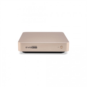 EVOBOX с микрофонами в Брянской области