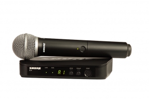 SHURE BLX24E/PG58 M17 вокальная радиосистема в Брянской области